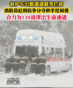 图片13.gif 图片13.gif