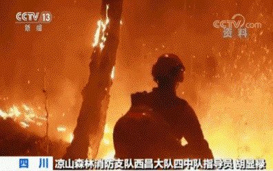 图片5.gif 图片5.gif