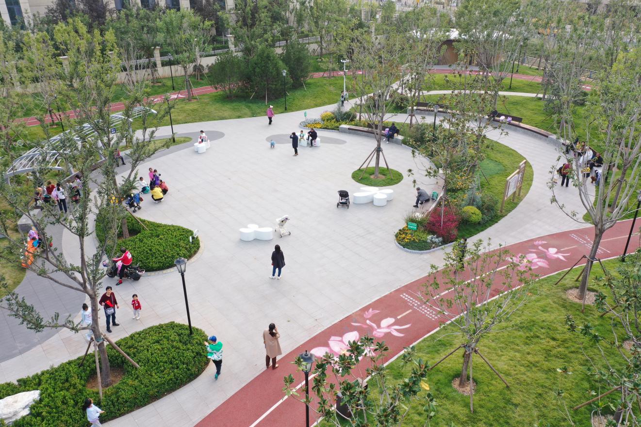 济南市高新区汉峪玉兰公园。宋希英摄