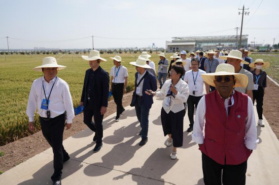 　　2025年5月19日，上海合作组织减贫和可持续发展论坛与会人员在陕西杨凌参观旱区农业节水技术与装备田间展。新华社记者 邵瑞 摄